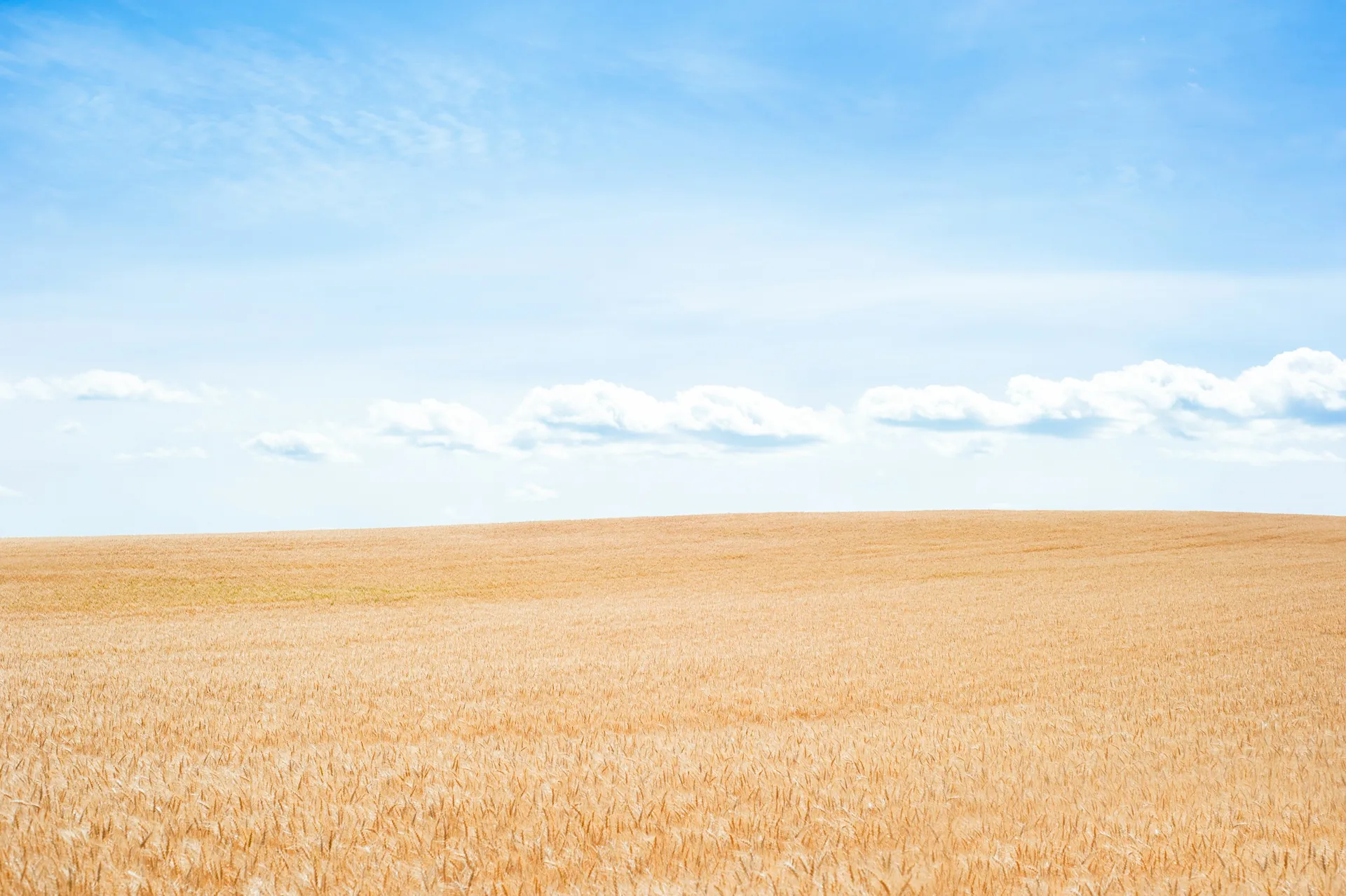 West Oklahoma prairie landscape representing environmental stewardship